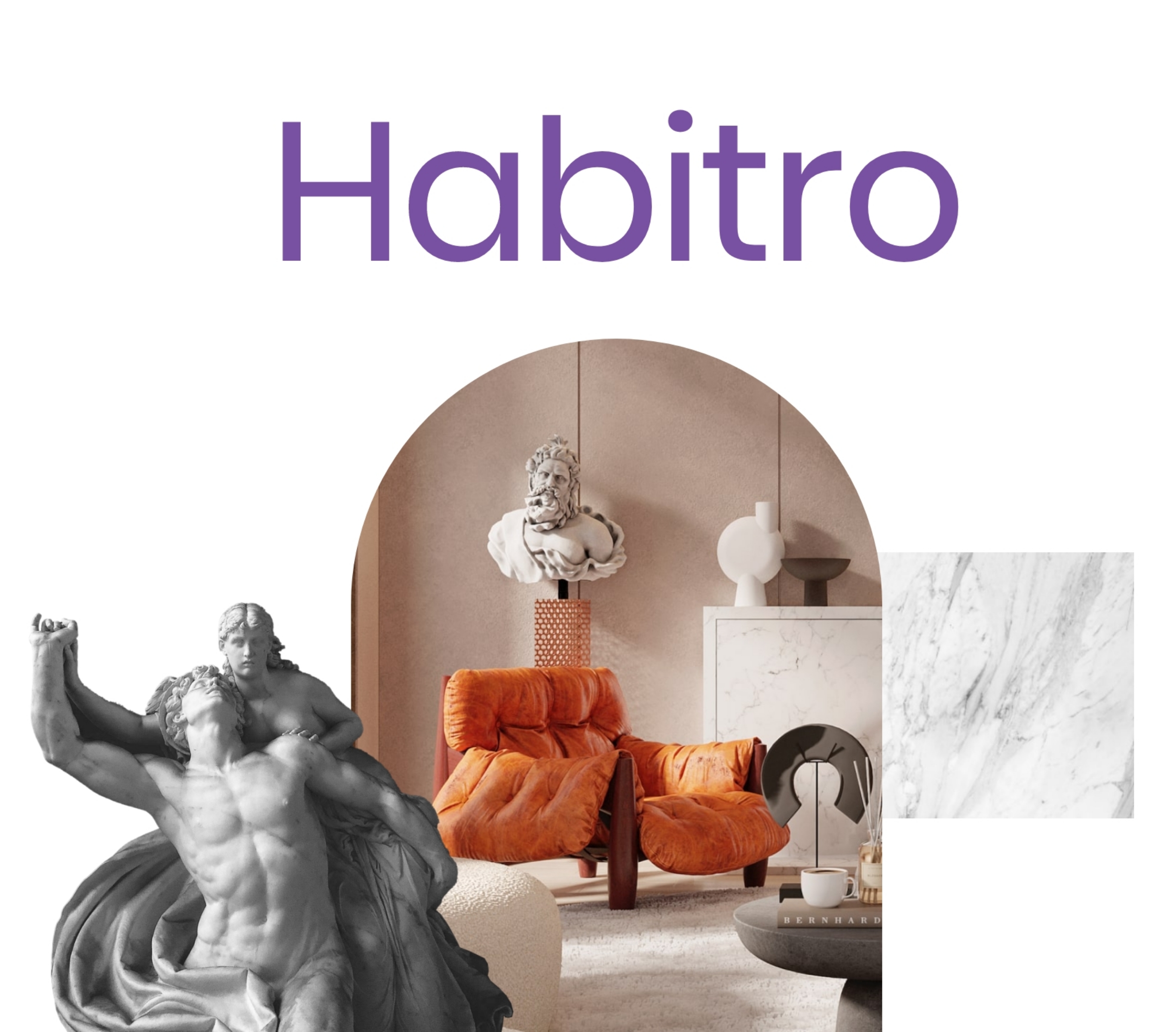 Project V1 Single Image